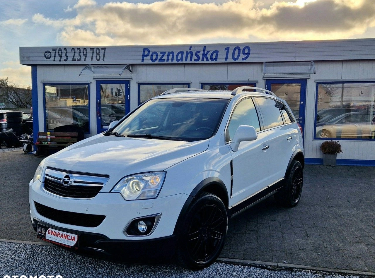 Opel Antara cena 29999 przebieg: 225000, rok produkcji 2011 z Krynica Morska małe 742